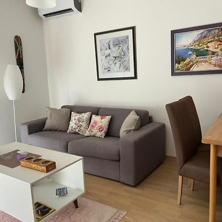 Lovely Pink Flat Apartment Podgorica Bagian luar foto